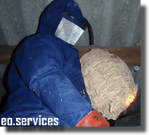 Applicateur Hygieniste dans la destruction d'un nid de guepes